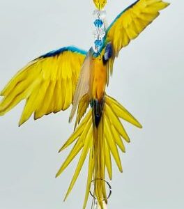macaw suncatcher blue yellow