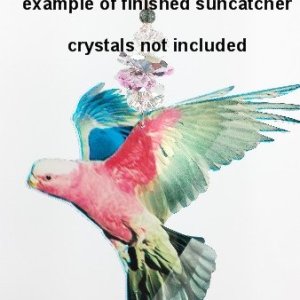 galah suncatchr example
