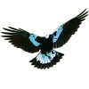 magpie craft film wings