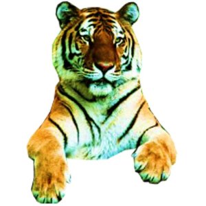 tiger 2 craft film cutouts