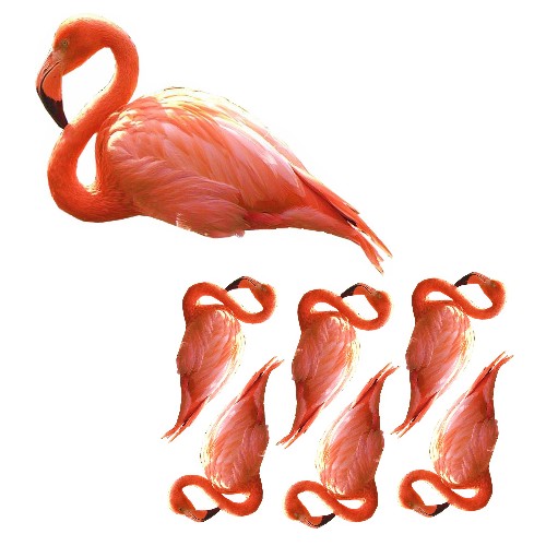 flamingo film designs