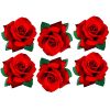 red rose film designs