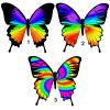 chakra butterfly craft film designs