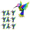 rainbow hummingbird craft film designs