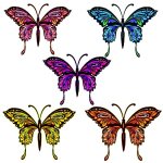 butterfly 17 craft film designs