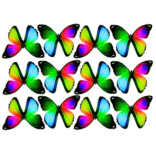butterfly film designs c1gj
