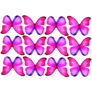 butterfly film designs c1a