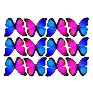 butterfly film designs c1c