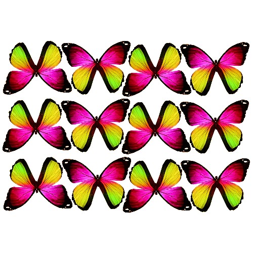 butterfly film designs c1g