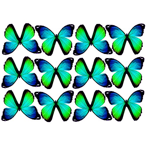 butterfly film designs c1gh