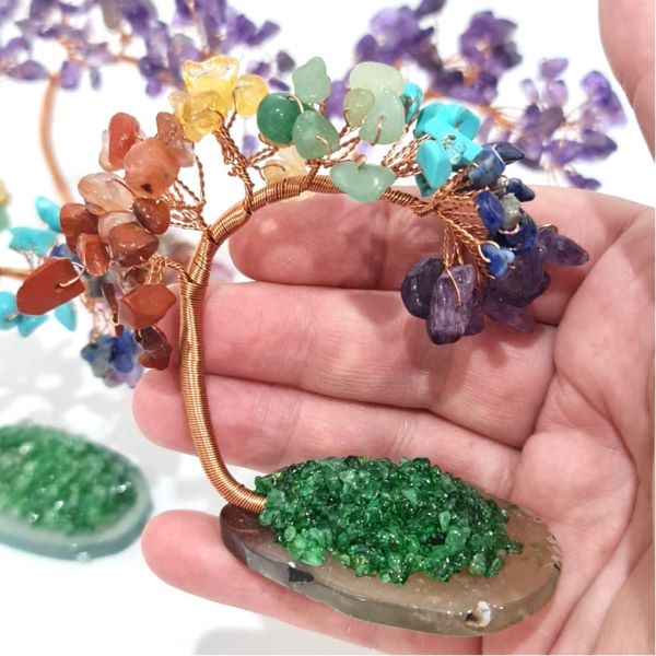 chakra luck money tree size chakra luck money tree size
