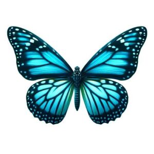 Butterfly Film Designs -C3a
