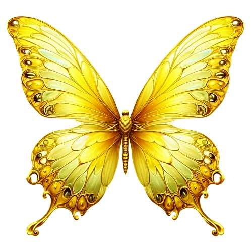 bfc4b