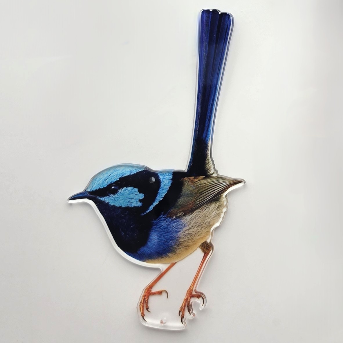 fairy wren acrylic pendant