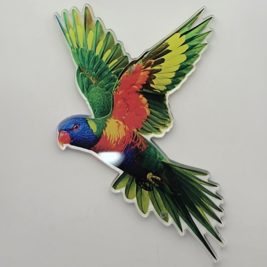 lorikeet acrylic pendant